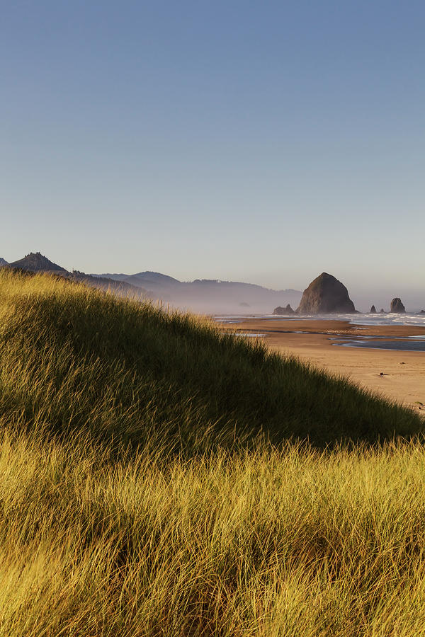 Haystack Rock Seen From Dunes Photograph by Sawaya Photography