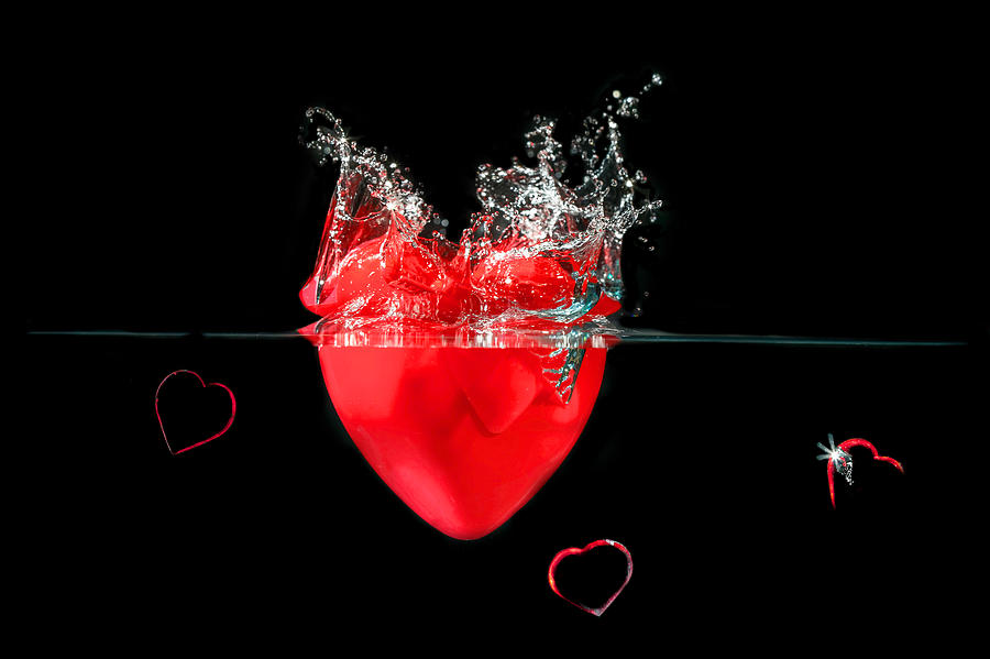 Heart #3 Photograph by Peter Lakomy