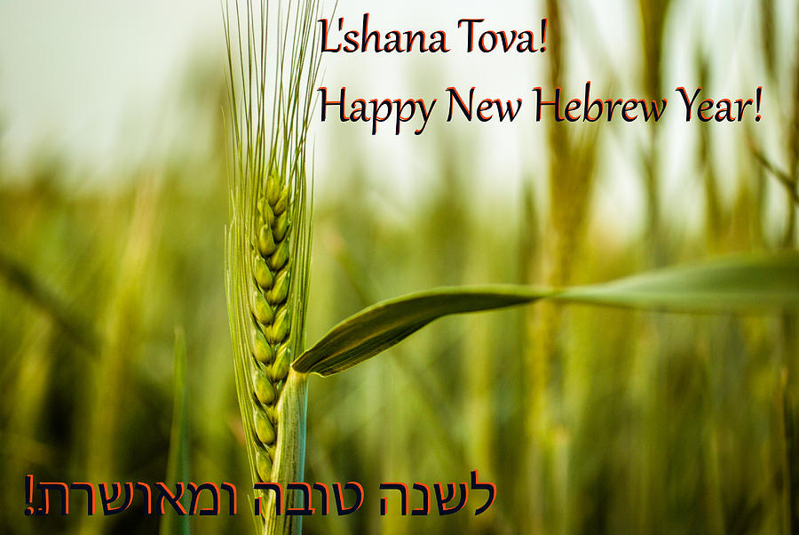 hebrew-new-year-greetings-card-photograph-by-meir-jacob-fine-art-america