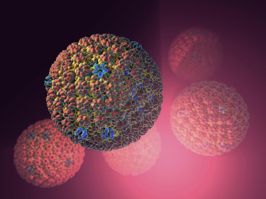 Biology Photograph - Herpes Simplex Virus #3 by Hipersynteza