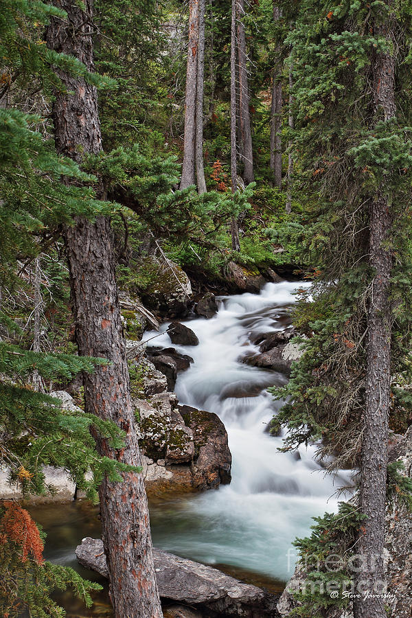Hidden Falls Path Teton National Park #3 Photograph by Steve Javorsky