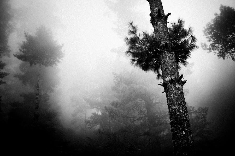 Himalyas Mist #3 Photograph by Raimond Klavins