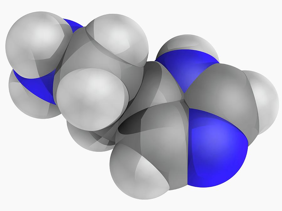 Histamine Molecule Photograph by Laguna Design/science Photo Library ...