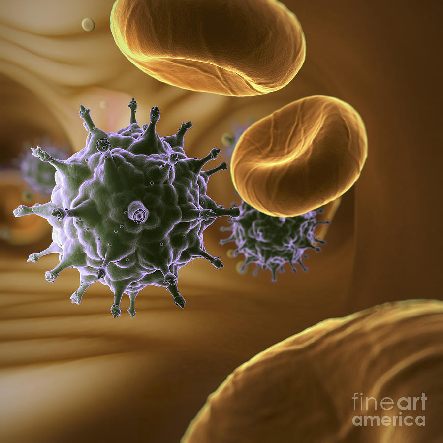 Cells Photograph - Hiv Infection #3 by Science Picture Co