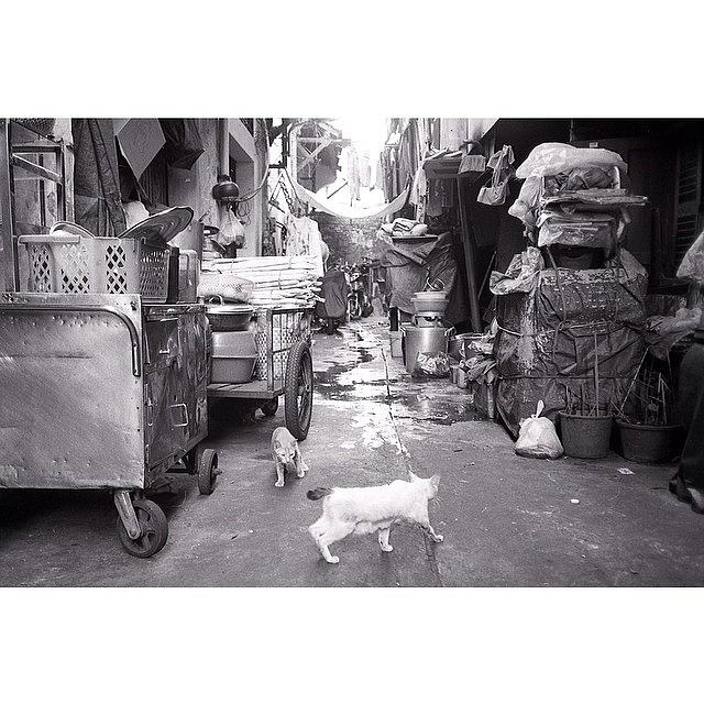 Ho Chi Minh City, Vietnam #3 Photograph by David Root