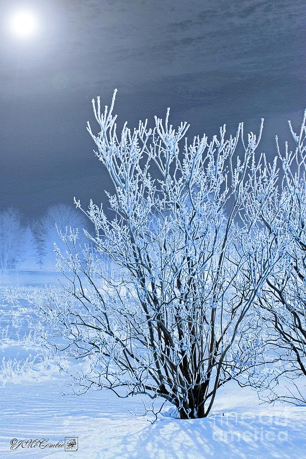 Hoar Frost on the Lilac Bush #3 Painting by J McCombie