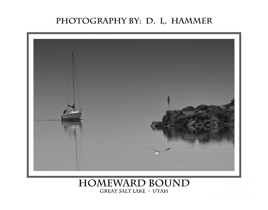 Homeward Bound #3 Photograph by Dennis Hammer