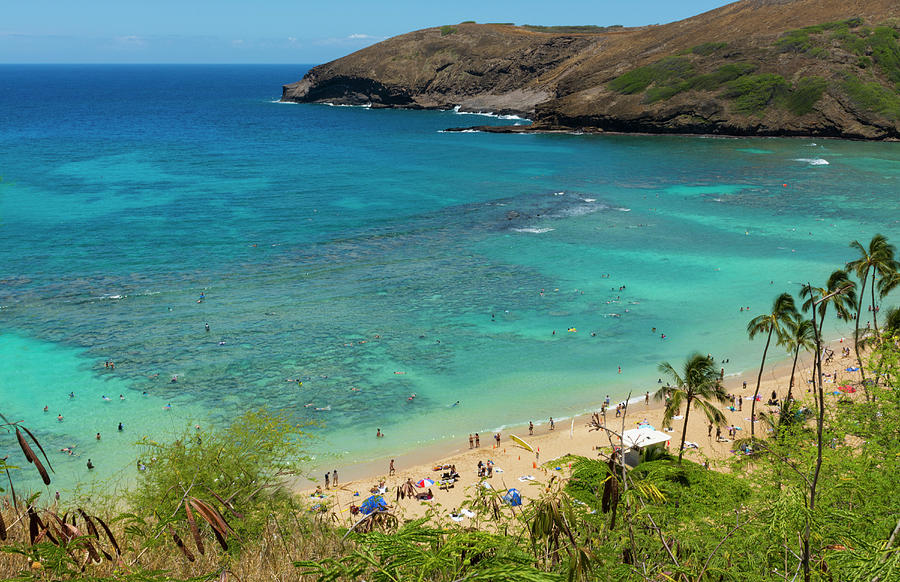 Honolulu, Hawaii, Oahu Photograph by Bill Bachmann - Fine Art America