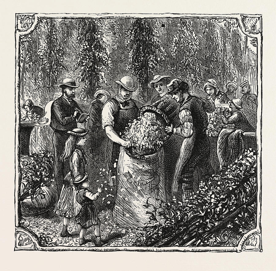 Vintage Drawing - Hops And Hop Pickers, In A Kentish Hop Garden, Kent #3 by English School