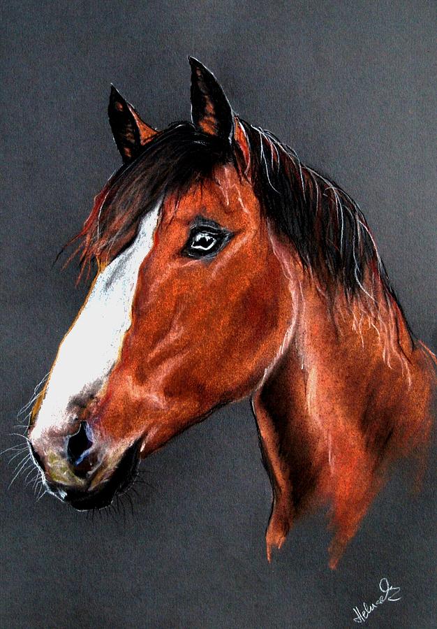 Animal Pastel - Horse #3 by Pawel Heluszka