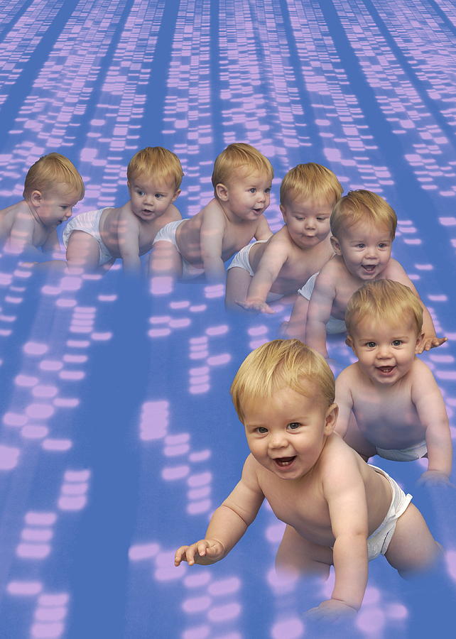 Human Cloning Photograph by Bluestone/science Photo Library