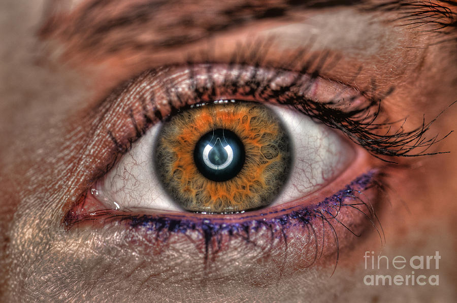 Iris Photograph - Human Eye #3 by Guy Viner