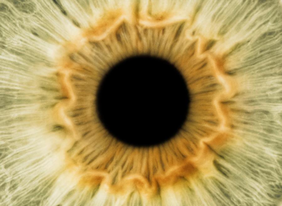 Iris Photograph - Human eye #3 by Science Photo Library