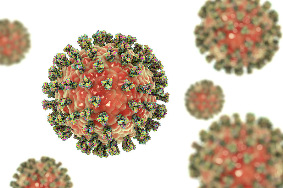 Human Parainfluenza Virus 3 By Science Photo Library 0315