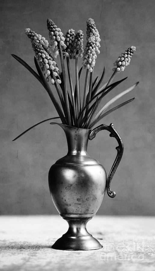 Vintage Photograph - Hyacinth Still Life #3 by Nailia Schwarz