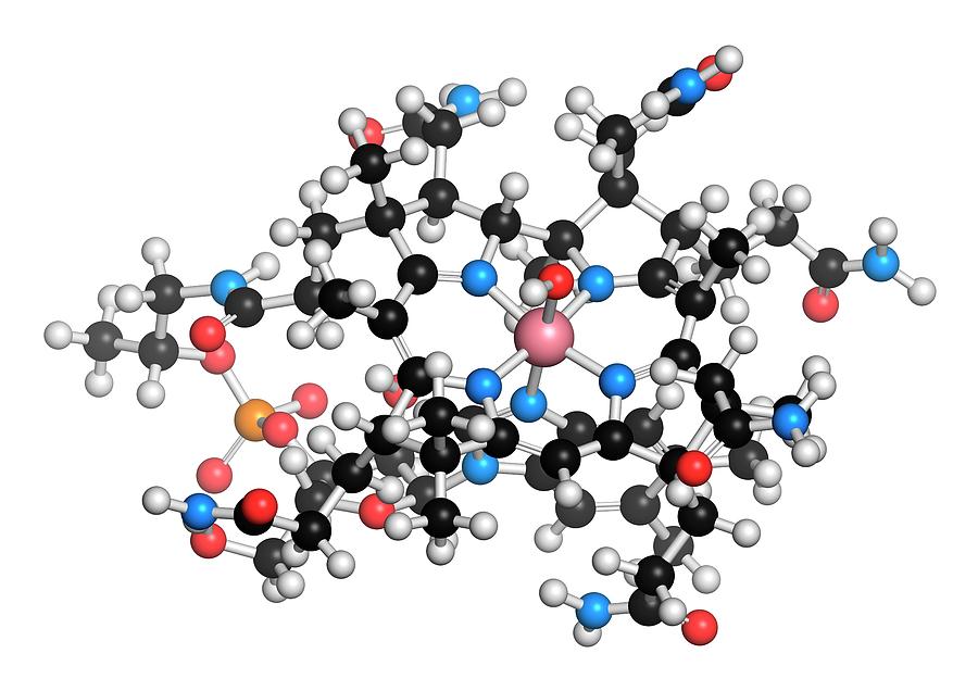 Hydroxocobalamin Vitamin B12 Molecule Photograph By Molekuul Pixels