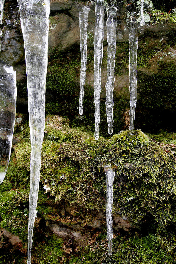 Icicles #2 Photograph by Dawn J Benko