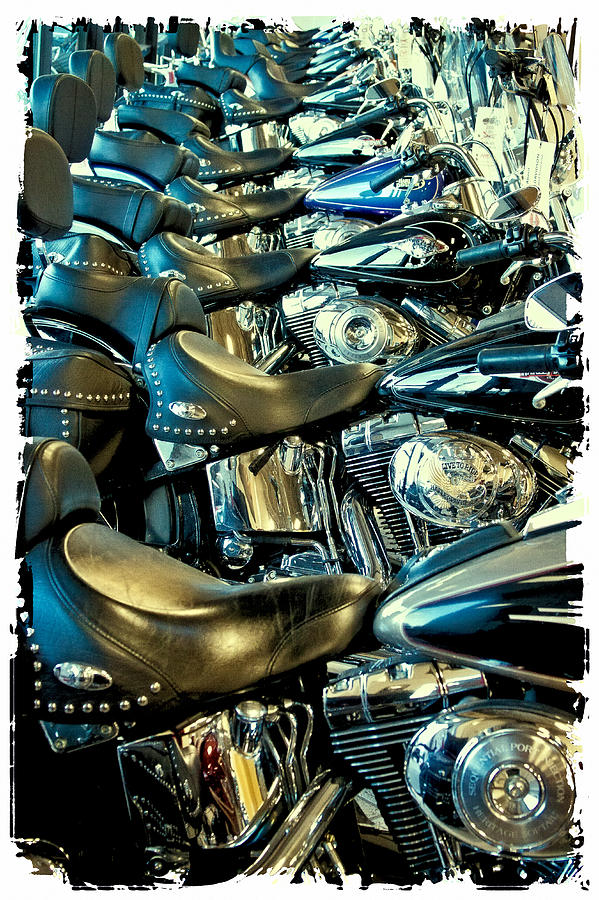 Ill Have a Dozen Harleys to Go Please #3 Photograph by David Patterson