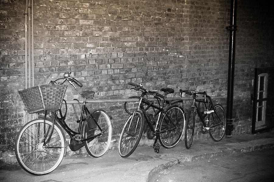 3 In Line Bycicles Photograph by Georgina Noronha - Fine Art America