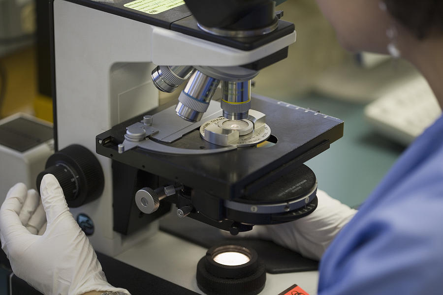 In Vitro Fertilization Lab Photograph by Science Stock Photography ...