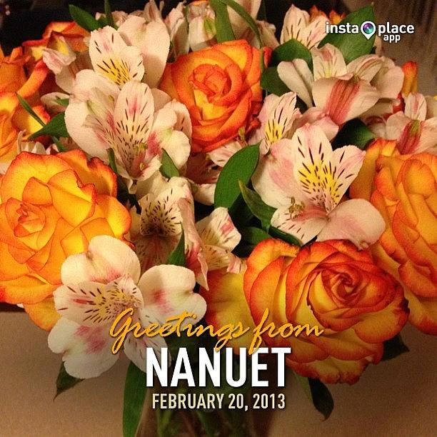 Flower Photograph - #instaplace #instaplaceapp #instagood #3 by Roger Pereira