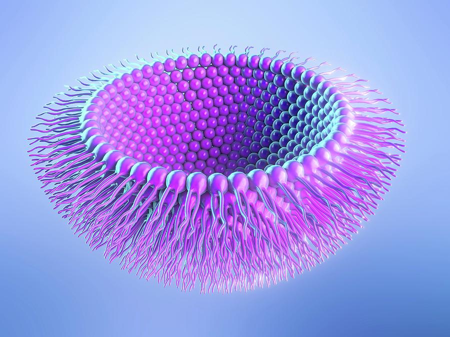 inverse-micelle-photograph-by-maurizio-de-angelis-science-photo-library