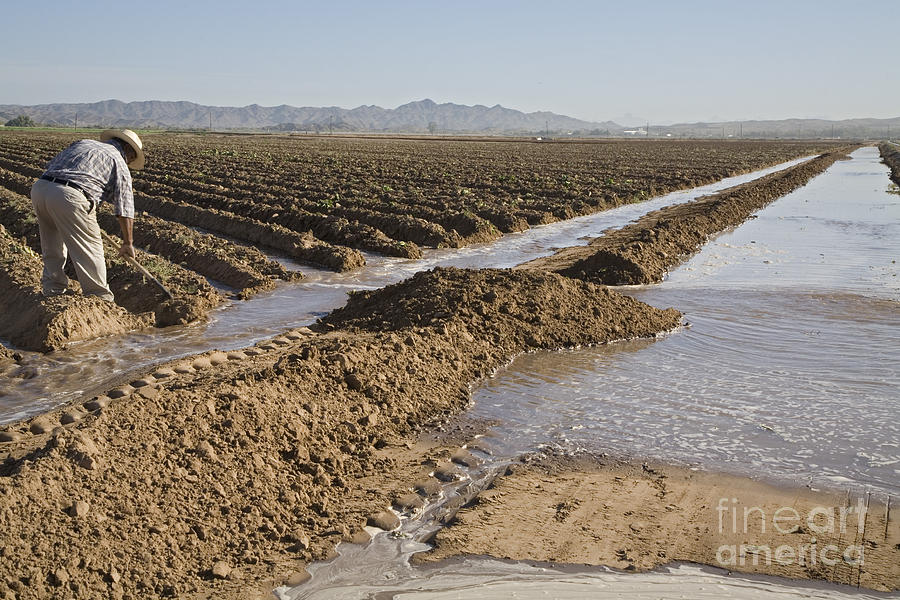 Irrigation in Arizona Desert Photograph by Jim West