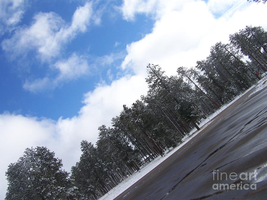 Jacob Lake Winter Photograph by Rachel Butterfield - Fine Art America