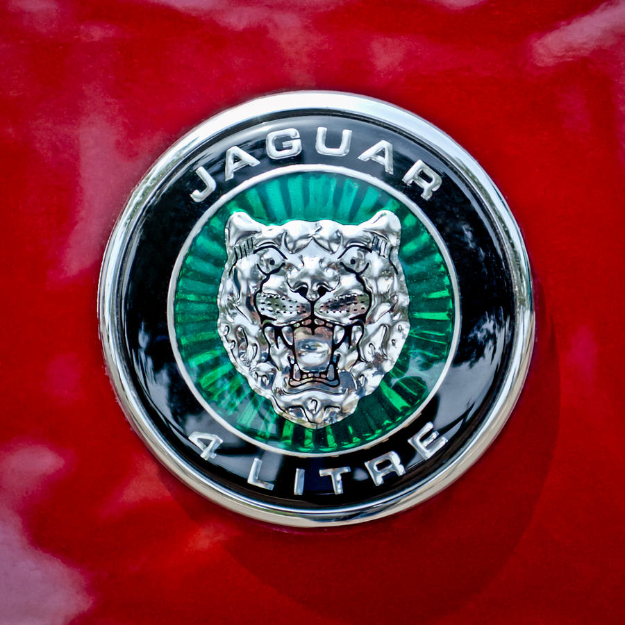 Jaguar Emblem Photograph by Jill Reger - Fine Art America