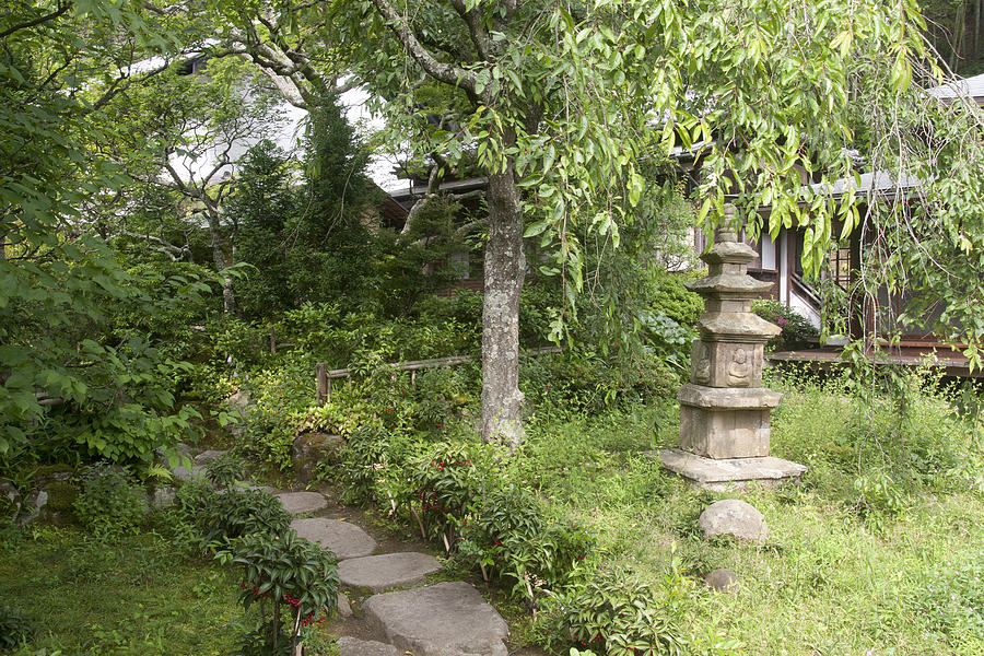 Japanese garden #5 Photograph by Masami Iida