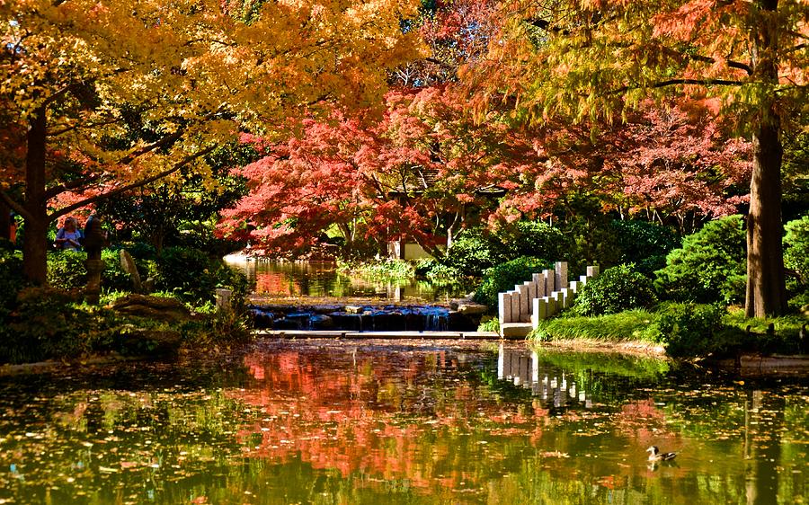 Japanese Gardens #3 Photograph by Ricardo J Ruiz de Porras