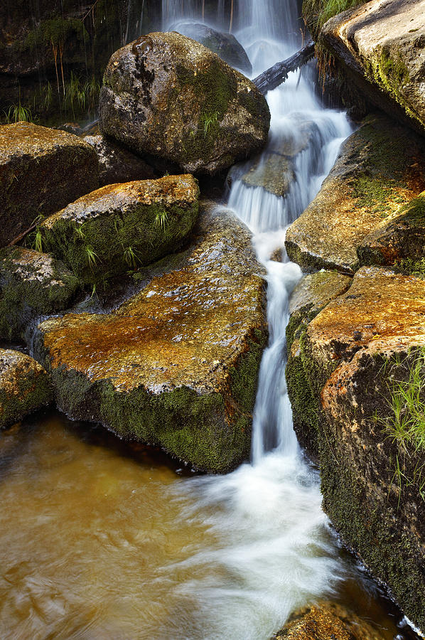 Jizera river Photograph by Radka Linkova - Fine Art America