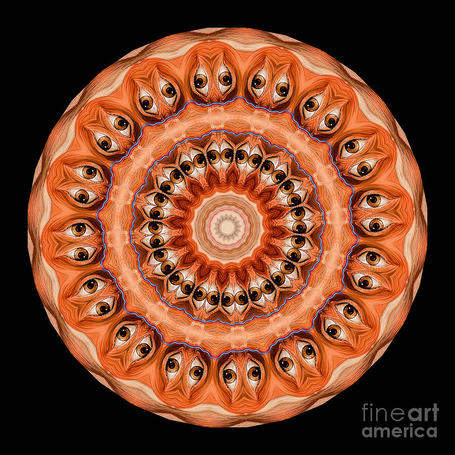 Abstract Photograph - Kaleidoscope Anatomical Illustrations Seriesi #3 by Amy Cicconi