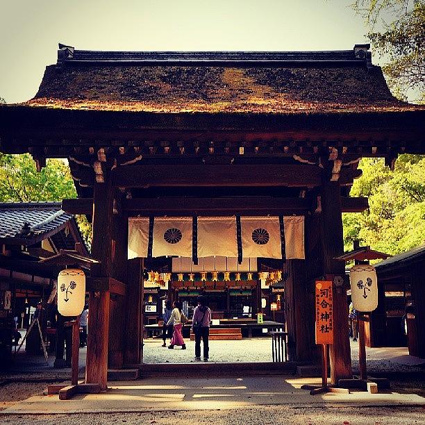 Beautiful Photograph - Kawai Shrine  河合神社 #3 by My Senx