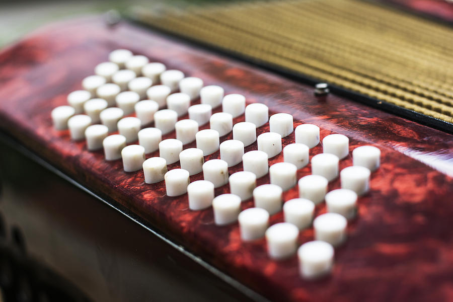 Music Photograph - Keyboard of accordian #3 by Newnow Photography By Vera Cepic