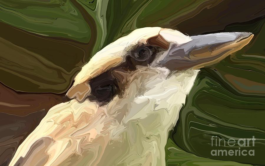 Kookaburra #3 Digital Art by Chris Butler