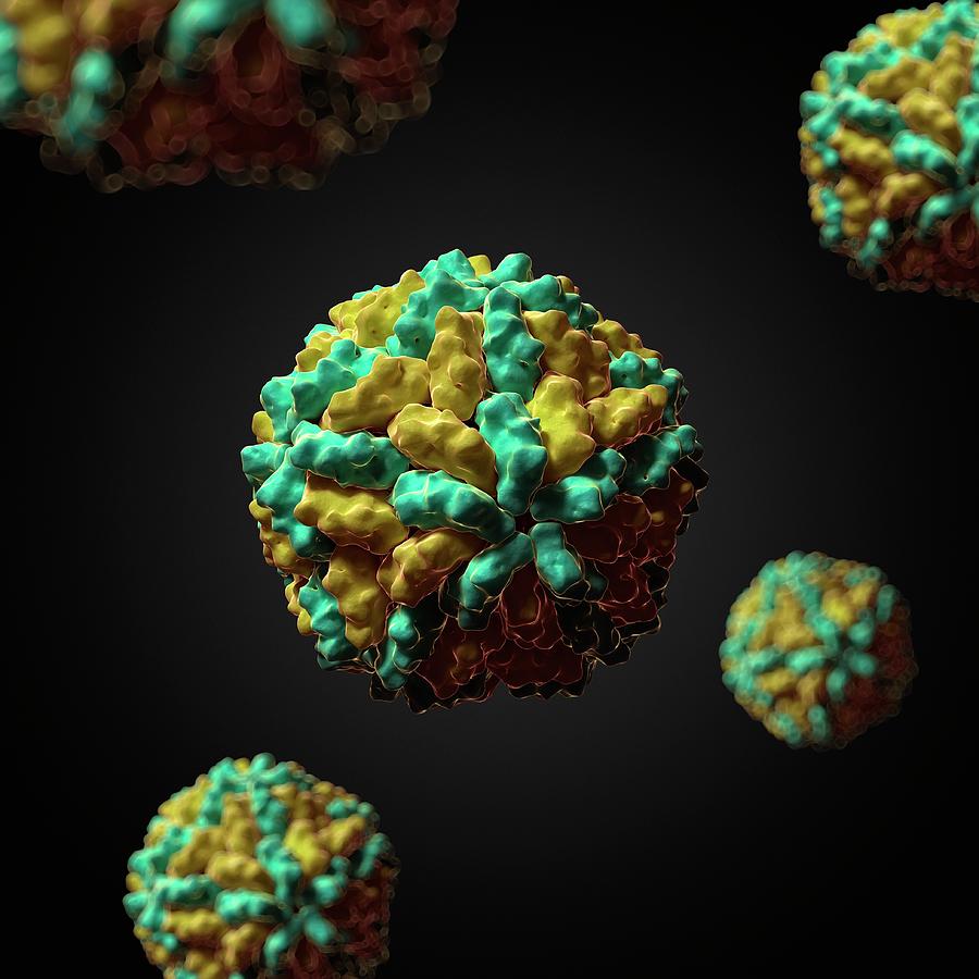 Illustration Photograph - L-a Virus #3 by Sciepro/science Photo Library