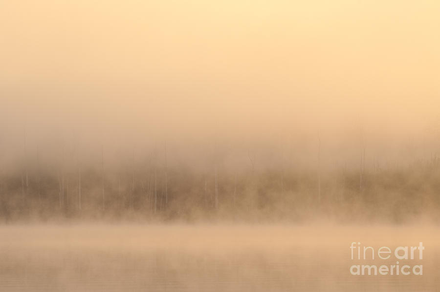 Lake Cassidy with fog and trees along shoreline shrouded in fog