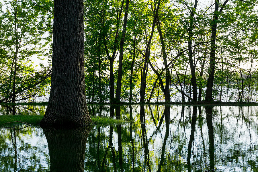 Minneapolis Photograph - Lake Nokomis in a Wet Spring by Jim Hughes