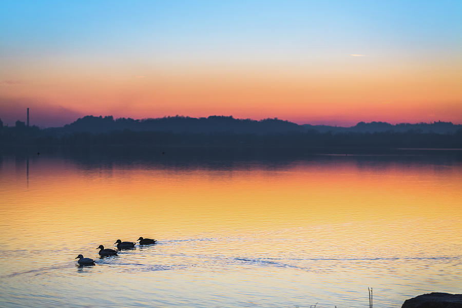 Lake Sunset #3 Photograph by Deimagine
