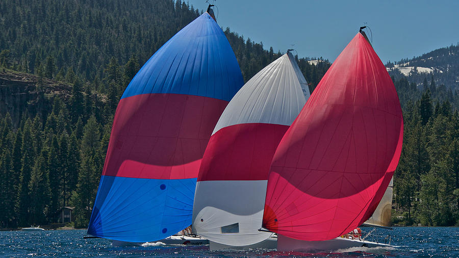 Lake Tahoe Spinnakers #3 Photograph by Steven Lapkin
