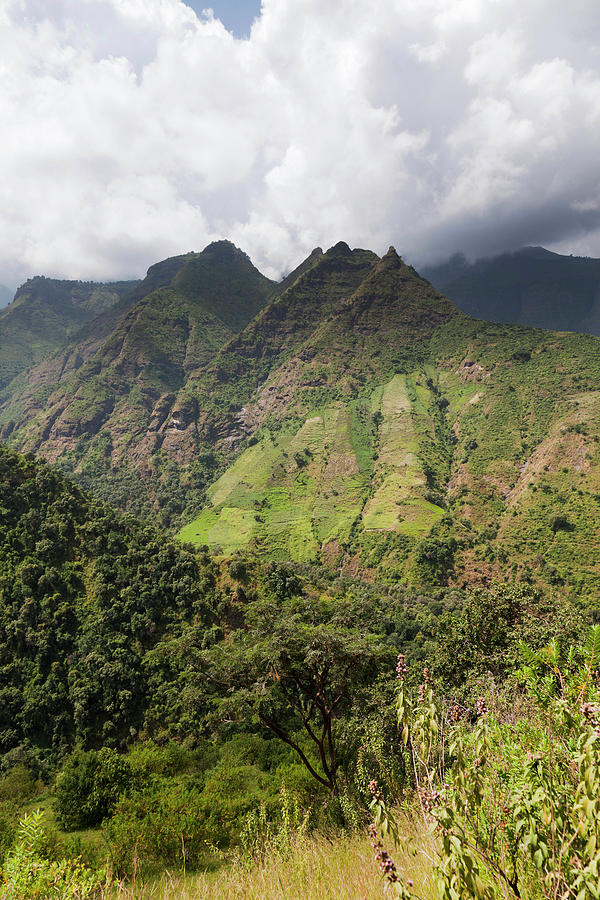 Landscape In The Semien Mountains Photograph By Martin Zwick - Fine Art 