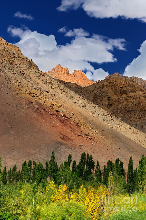 Nirvana Photograph - Landscape of Leh Ladakh Jammu and Kashmir India #3 by Rudra Narayan  Mitra