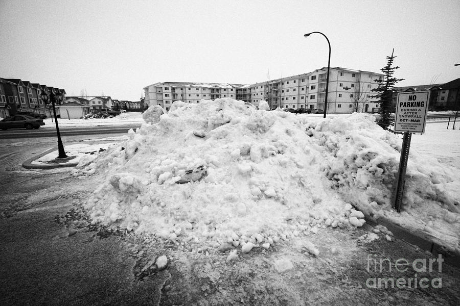 Winter Photograph - large pile of snow for collection cleared from residential streets Saskatoon Saskatchewan Canada #3 by Joe Fox
