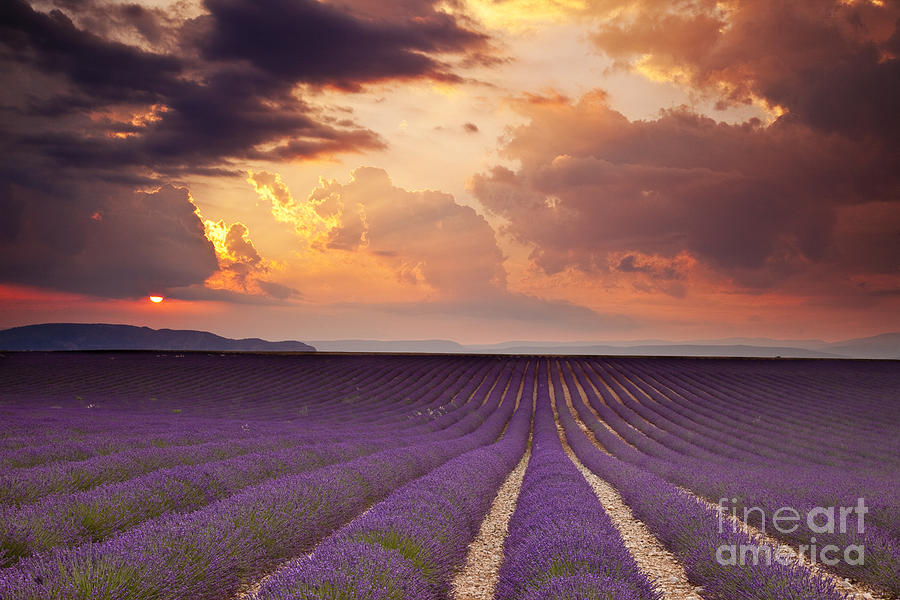 Lavender Sunset - Provence France #1 Photograph by Brian Jannsen