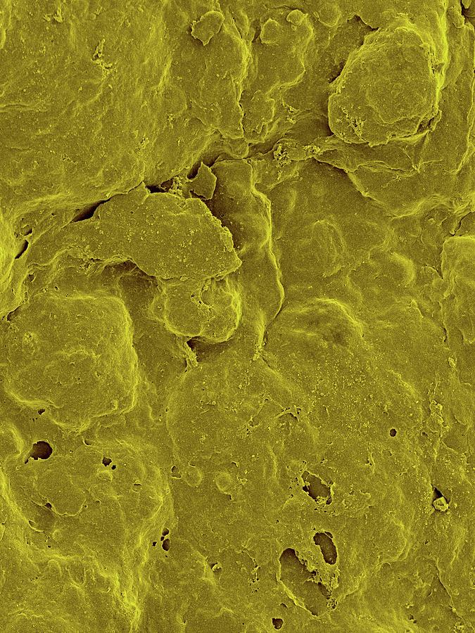 Lemon Peel Surface #3 Photograph by Science Photo Library Lemon Peel Surface #3 Photograph by Science Photo Library