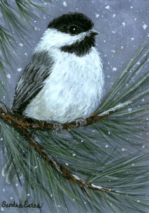 Let It Snow Chickadee #3 Painting by Sandra Estes