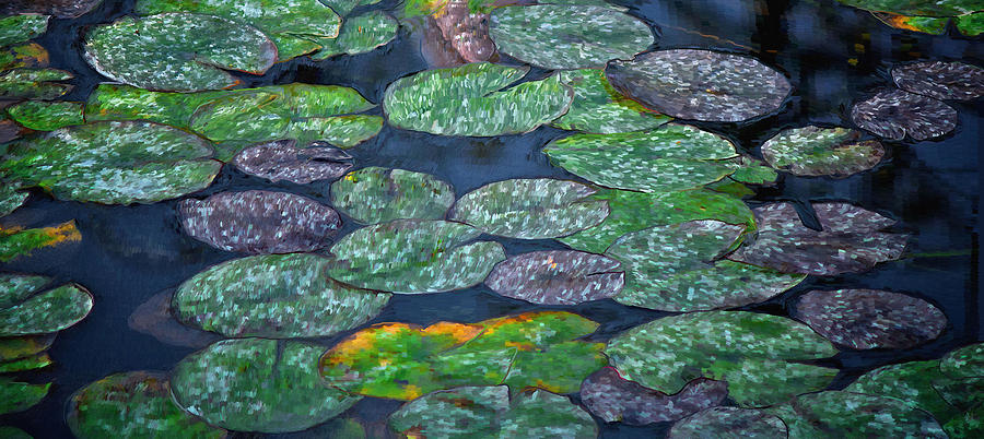 Lilly Pads #3 Painting by Prince Andre Faubert