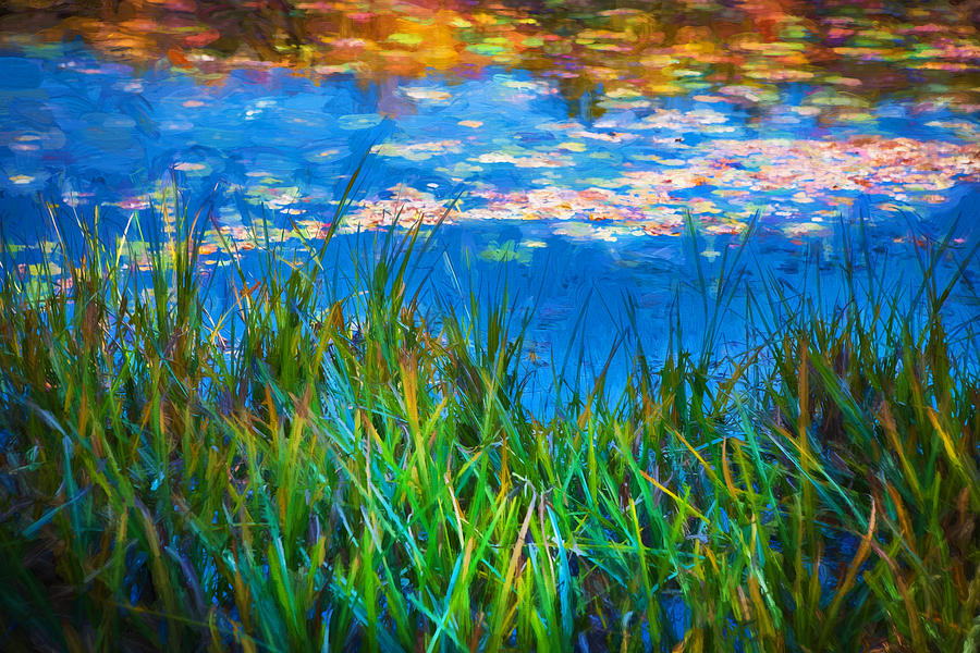 Lily Pads Lake Emma Rockaway Township NJ Painted  #3 Photograph by Rich Franco