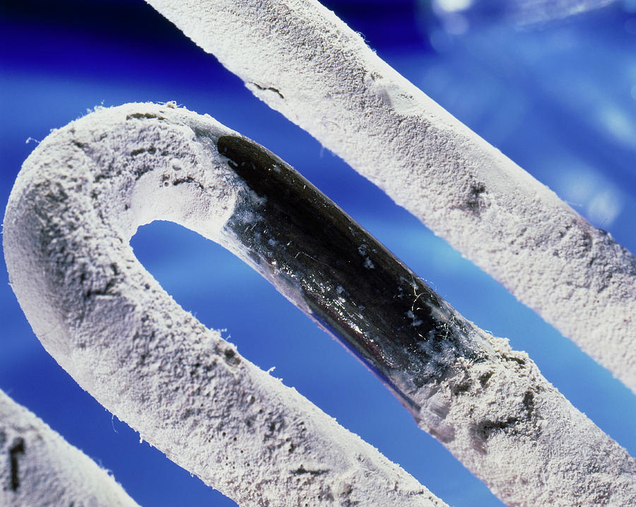 Limescale On A Washing Machine Heating Element #3 Photograph by Sheila Terry/science Photo Library